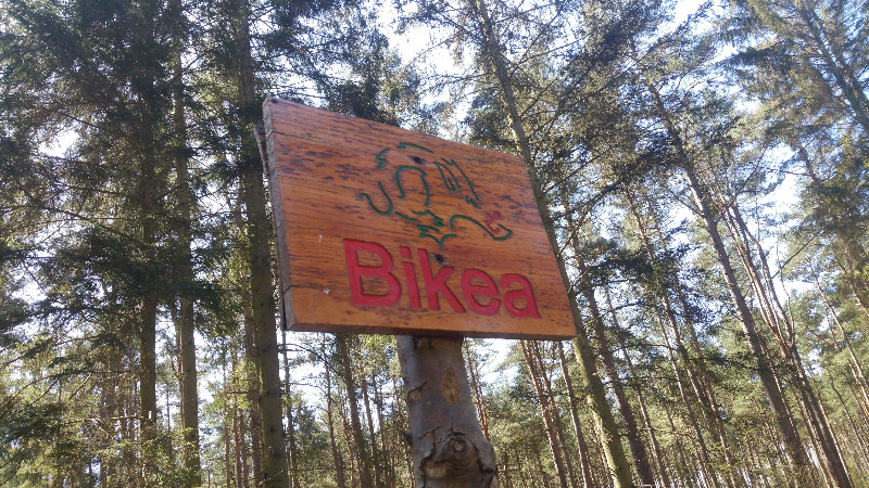 Bedgebury Forest Singletrack Trail