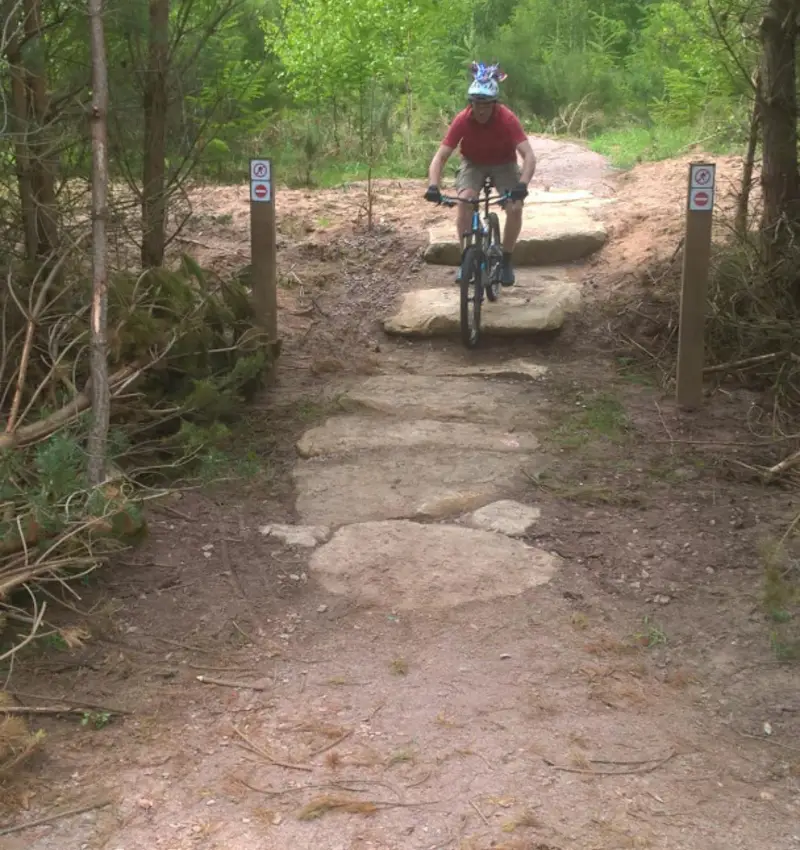 New Trail Sections at Thetford Forest