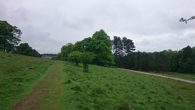 Lyme Park Trails