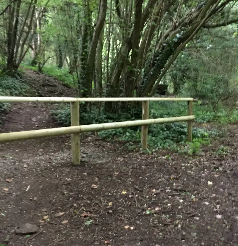 New Mountain Bike Trails planned for Leigh Woods