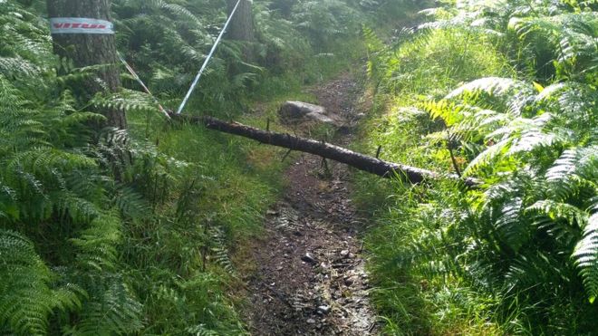 First Tracks Enduro Cup