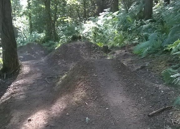 Mountain Bike Trails - South Wales