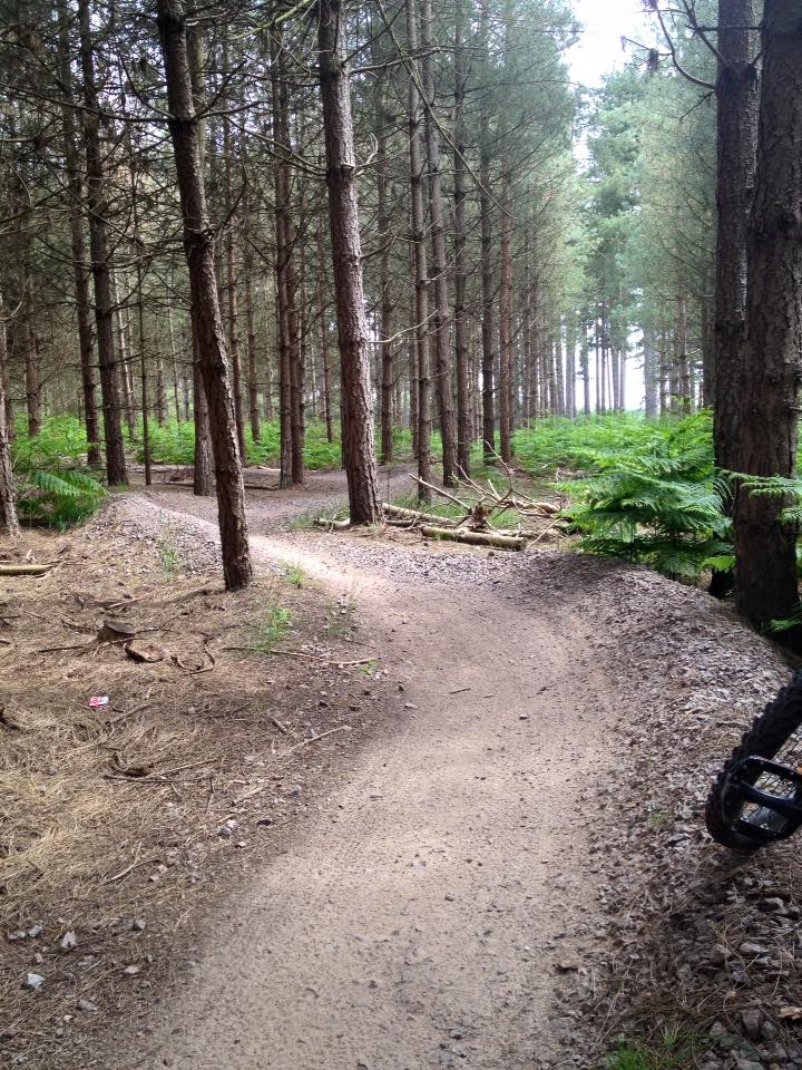 Thetford Forest (High Lodge) Mountain Bike Trails
