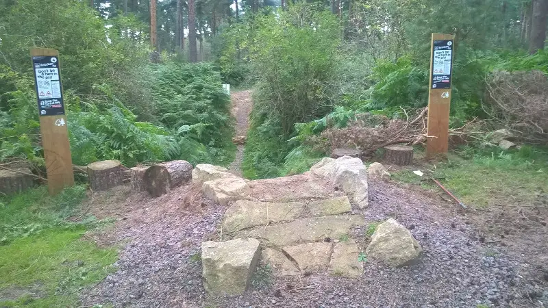 New 'Bracken Pit' Trail Section opened at Thetford