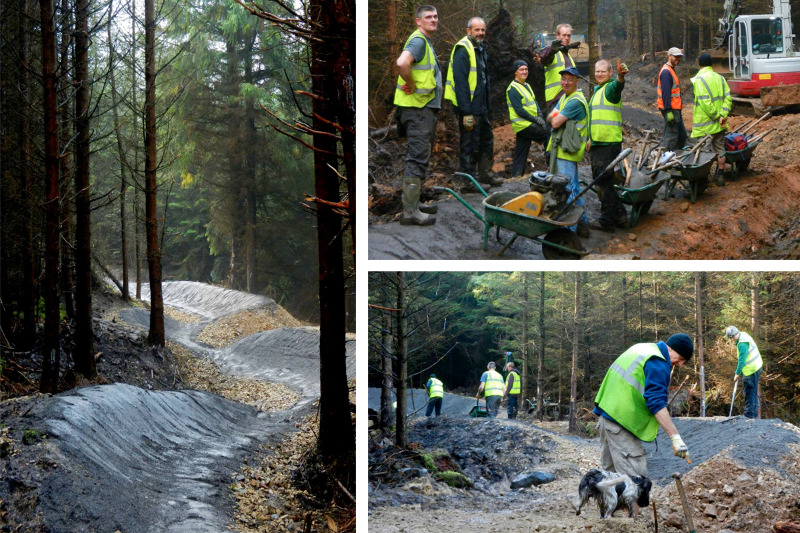 Hamsterley Forest Mountain Bike Trails