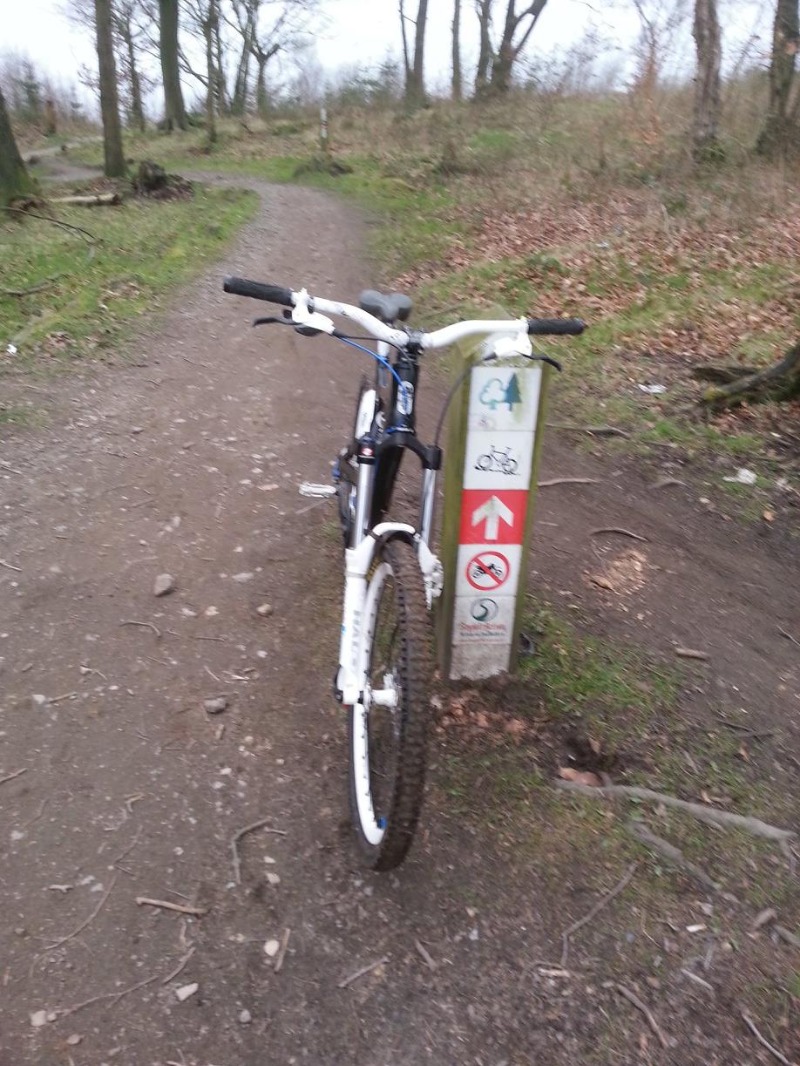 Stainburn Forest Mountain Bike Trail Centre