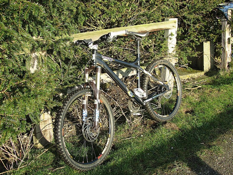 Mountain Bike