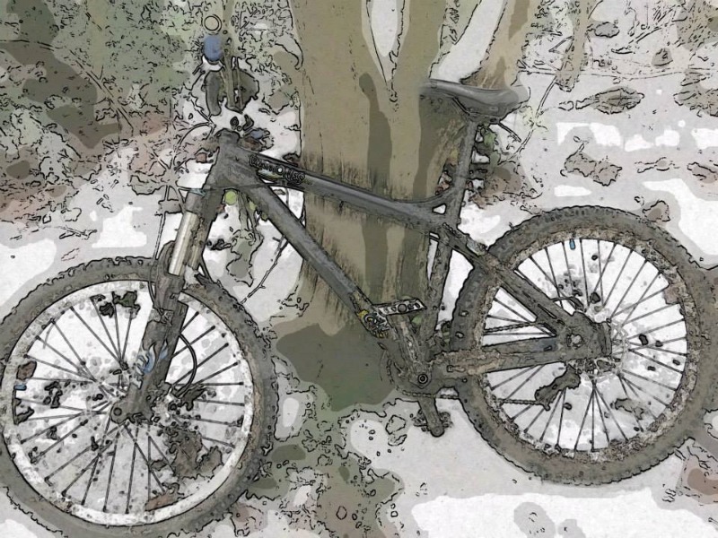 Mountain Bike