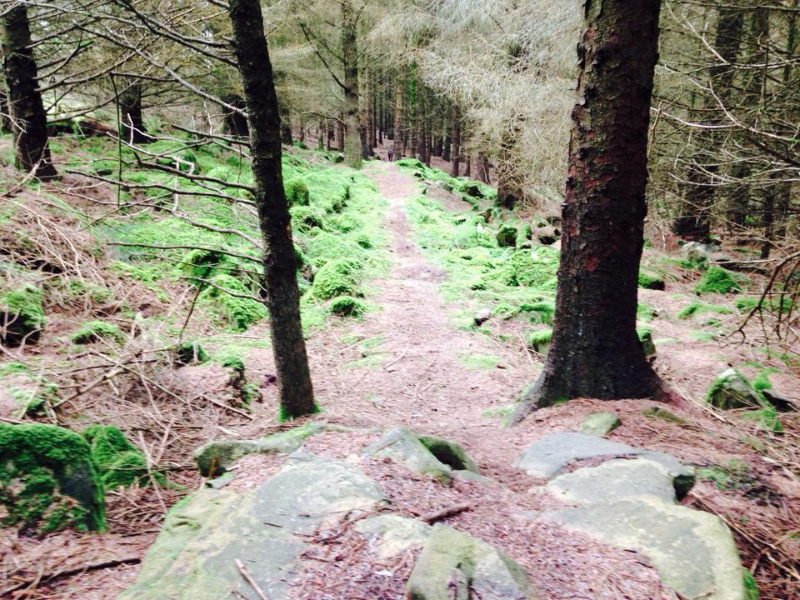 Nant Gwrtheyrn DH Mountain Bike Trails