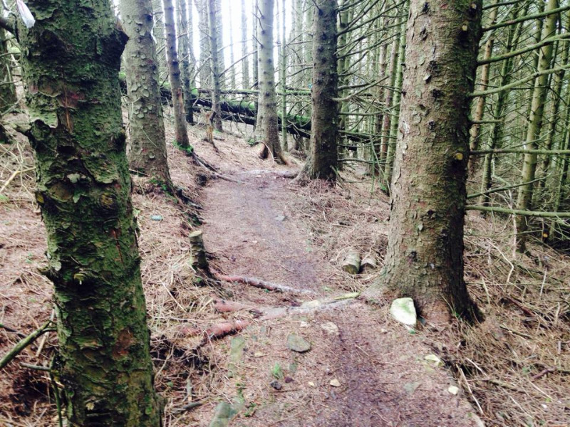 Nant Gwrtheyrn DH Mountain Bike Trails