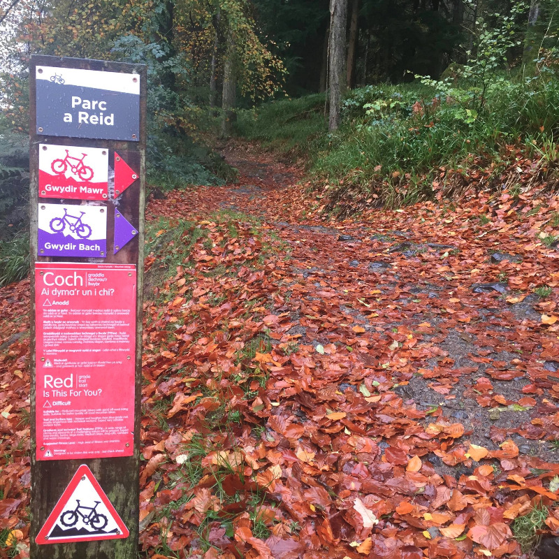 Gwydir Mawr Mountain Bike Trail