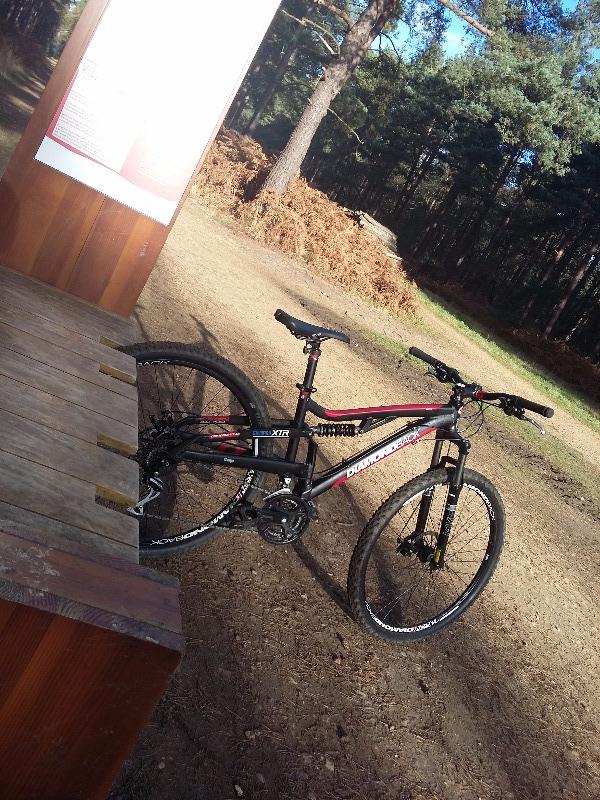 Swinley Forest Mountain Bike Centre