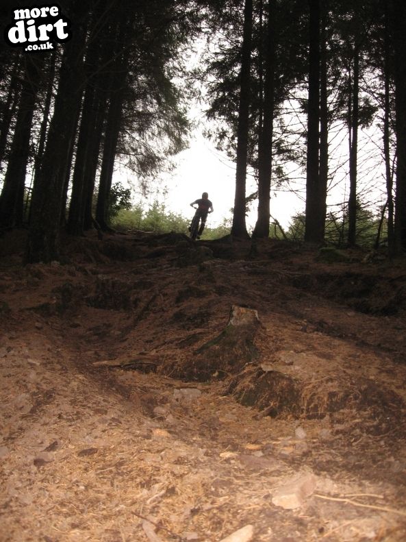 Triscombe Mountain Bike Trails