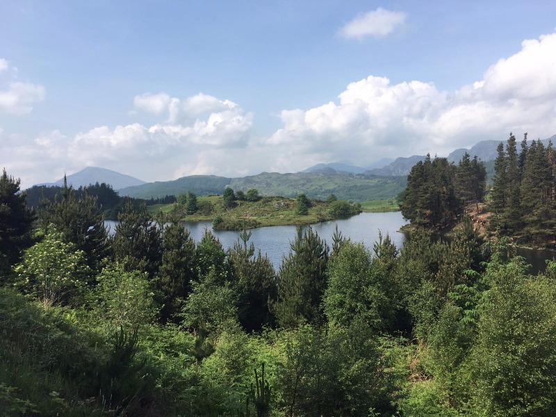 Gwydir Mawr Mountain Bike Trail