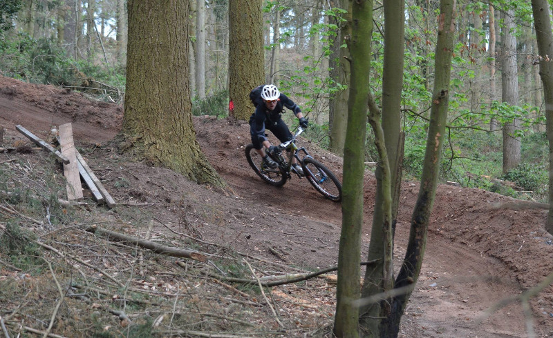 Dudmaston Wood Mountain Bike Trails