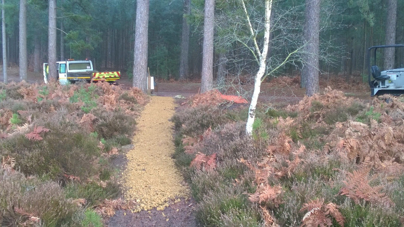 Moors Valley Country Park