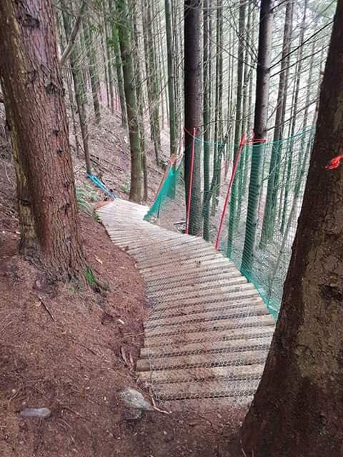 Gawton Mountain Bike Trails