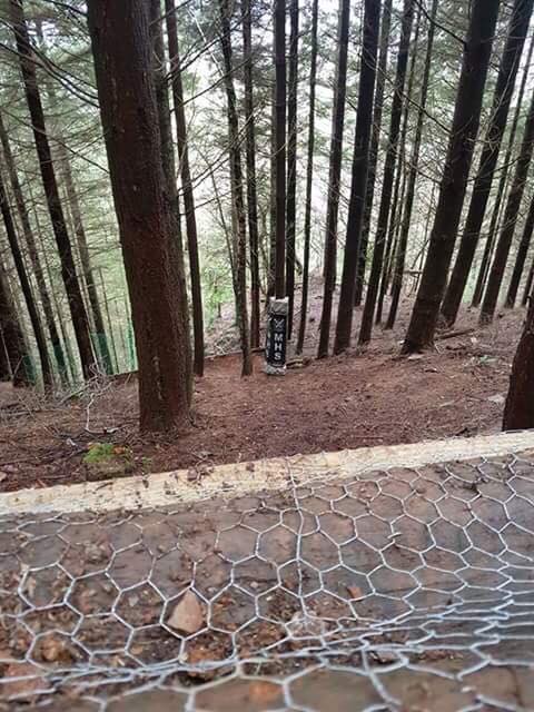 Gawton Mountain Bike Trails