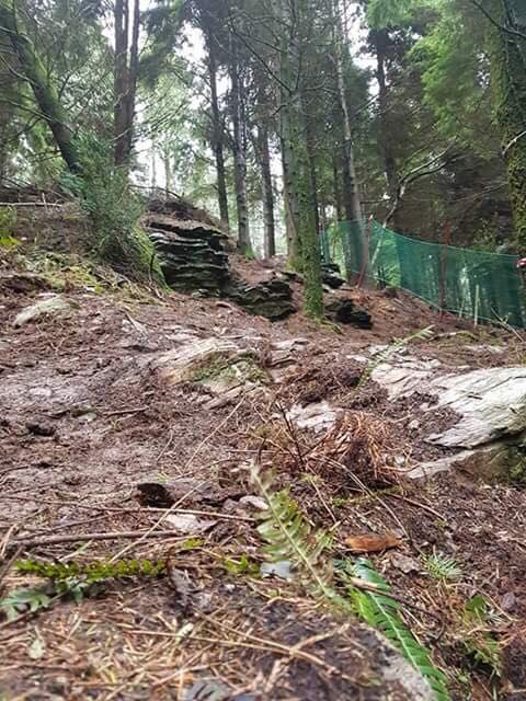 Gawton Mountain Bike Trails