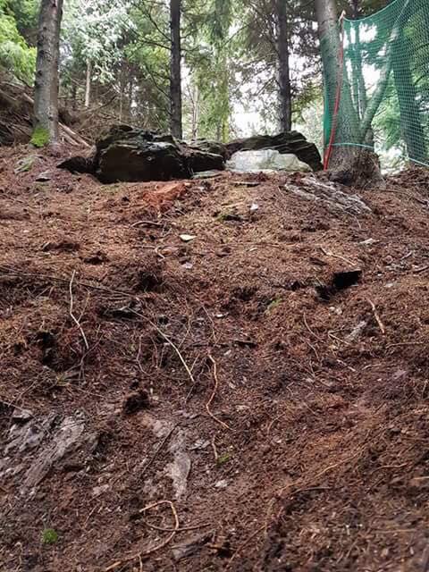 Gawton Mountain Bike Trails