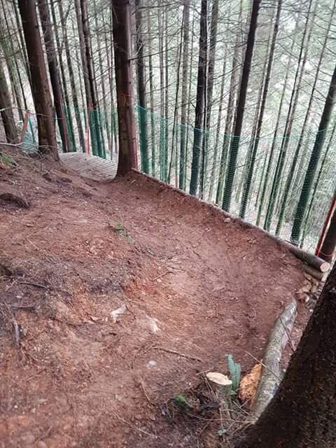 Gawton Mountain Bike Trails