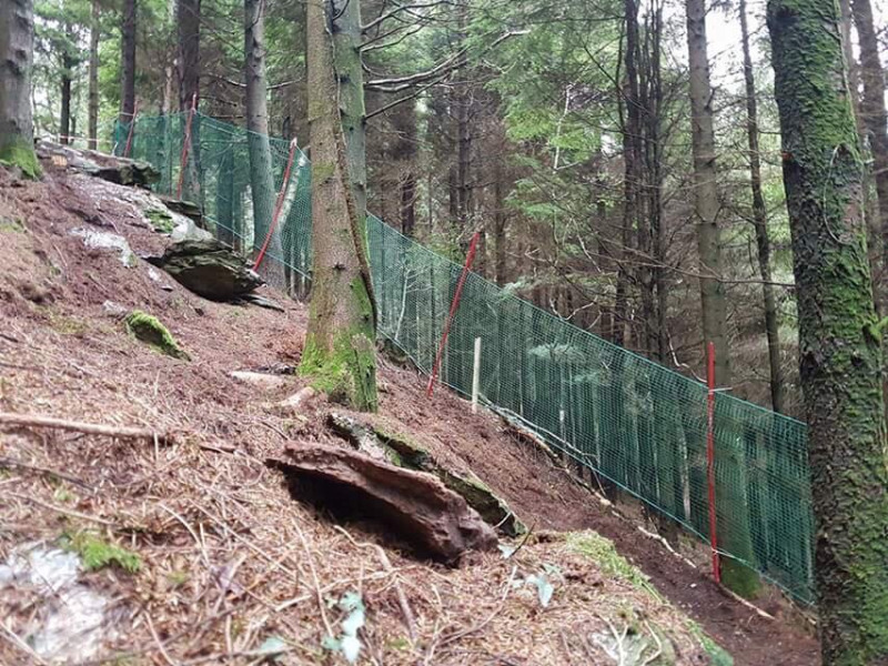 MegaTavi - Gawton Gravity Hub