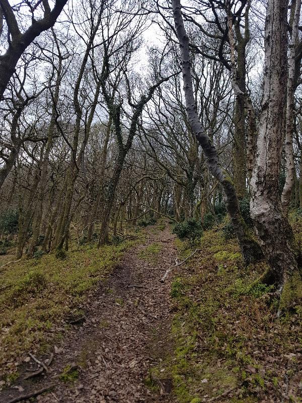 Quantocks - Dead Womens Loop