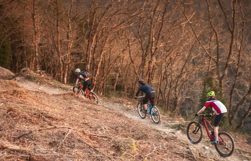 Forestry Commission survey into mountain biking