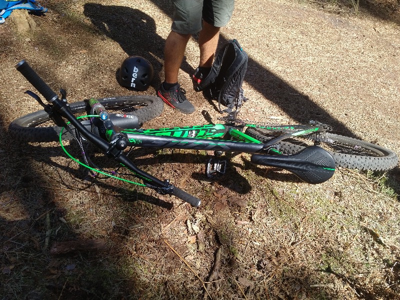 Swinley Forest Mountain Bike Centre