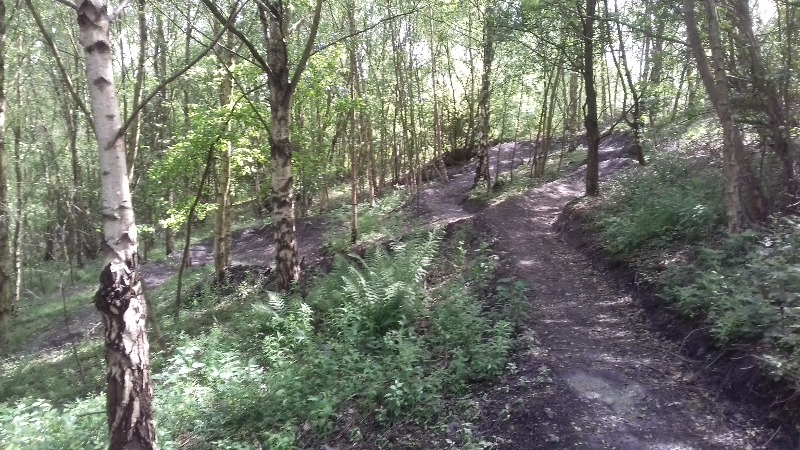 Pooley Mountain Bike Trails