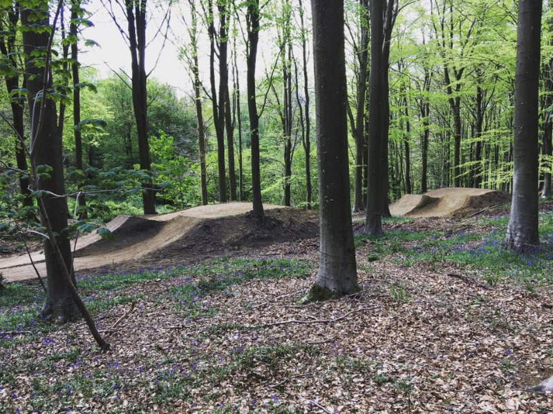 Wind Hill Mountain Bike Park