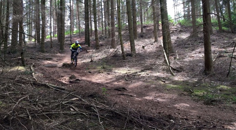 Swinley Forest Mountain Bike Centre