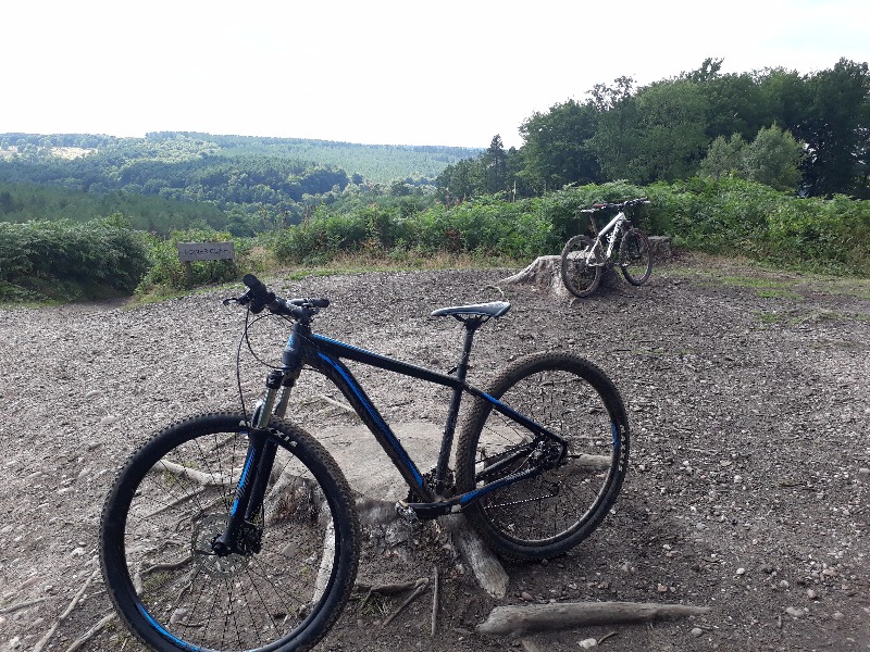 Monkey Trail - Cannock Chase