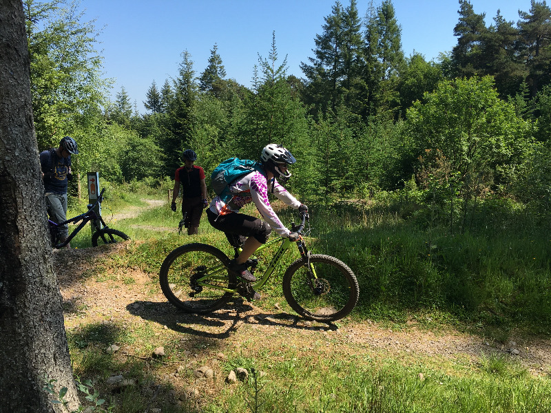 Mabie Forest - Skills Area