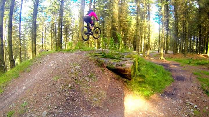 Coed Llandegla Trail Centre