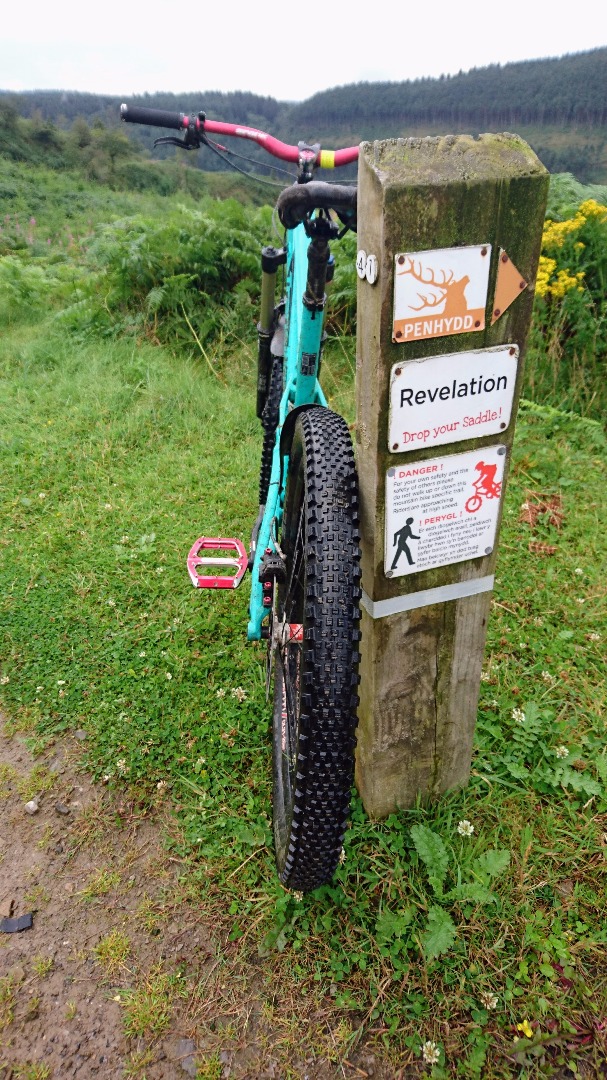 Penhydd Trail -  Afan Forest