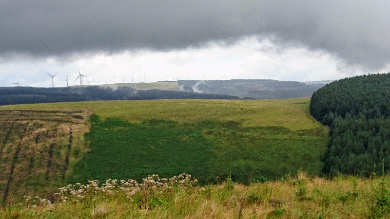 Penhydd Trail -  Afan Forest