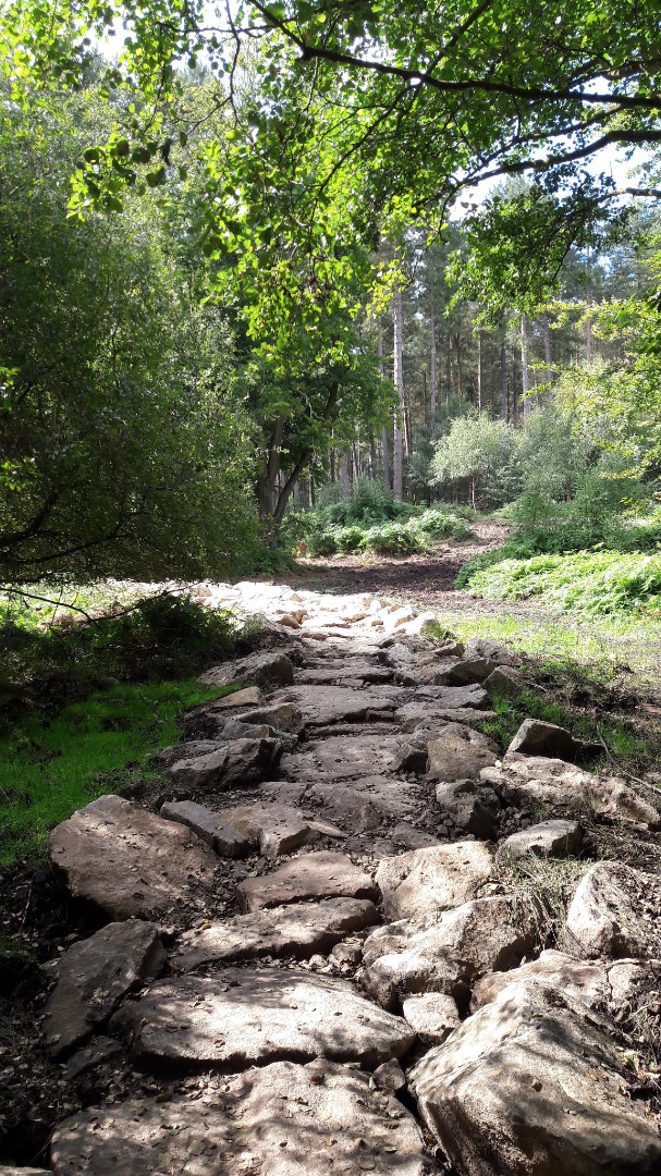 Cannock Chase Trail Centre