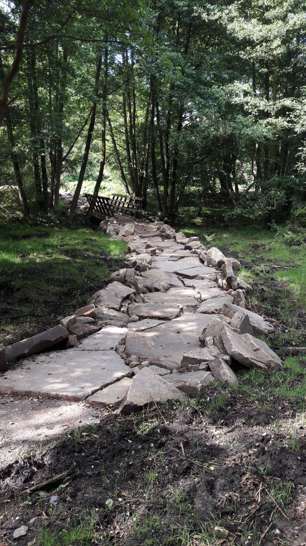 Cannock Chase Trail Centre