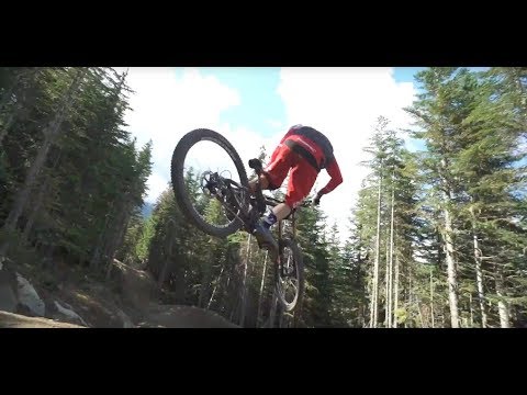 Dyfi Forest Mountain Bike Trails