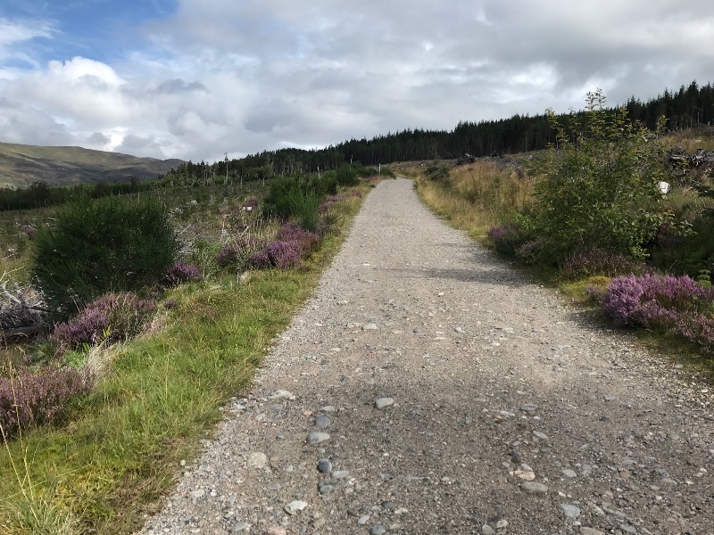 Laggan Wolftrax Mountain Bike Trails