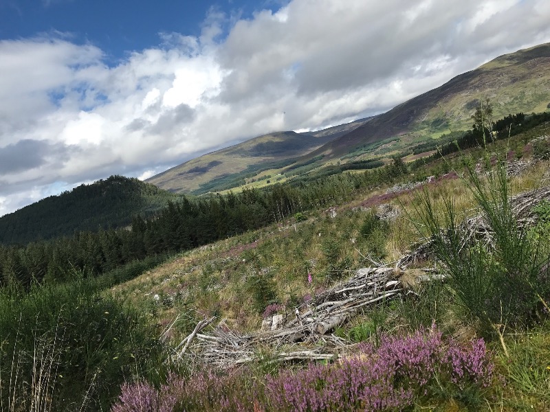 Laggan Wolftrax Mountain Bike Trails