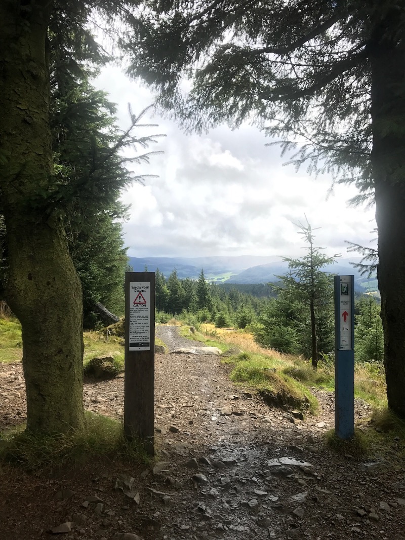 Glentress Mountain Bike Trail Centre