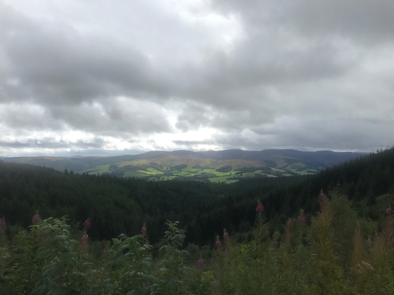 Glentress Mountain Bike Trail Centre