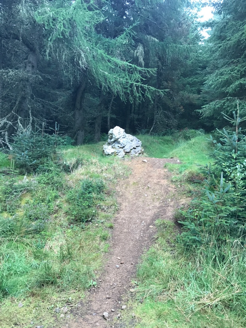 Glentress Mountain Bike Trail Centre