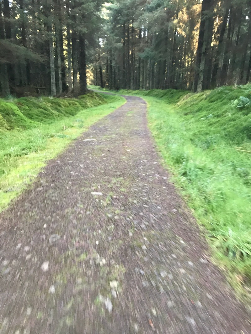 Glentrool Mountain Bike Trails