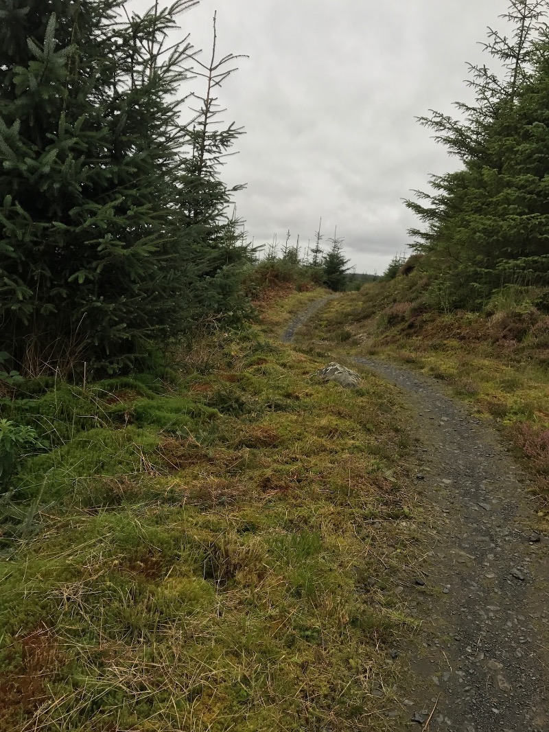 Glentrool Mountain Bike Trails