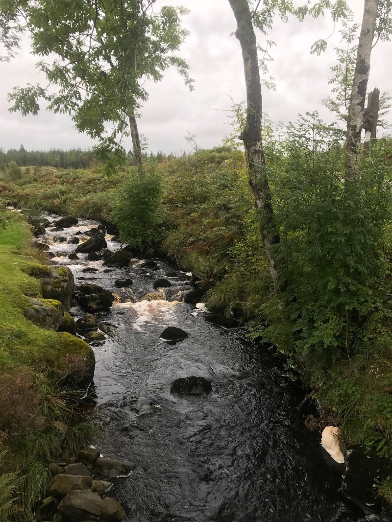 Glentrool Mountain Bike Trails
