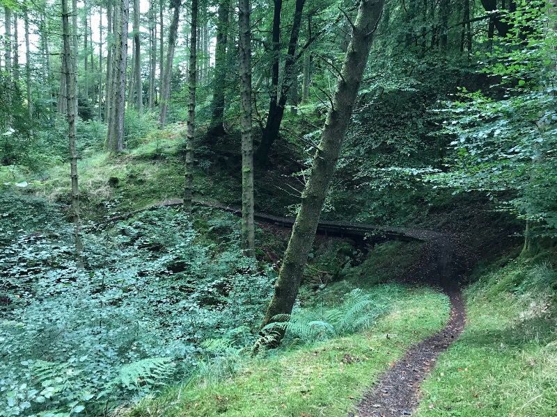 Newcastleton Mountain Bike Trails