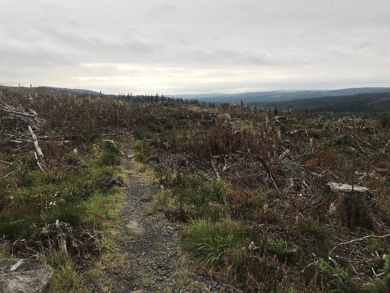Deadwater Trail - Kielder Forest